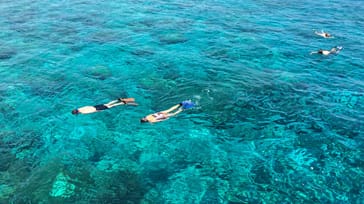 Snorkeling på Maldiverne