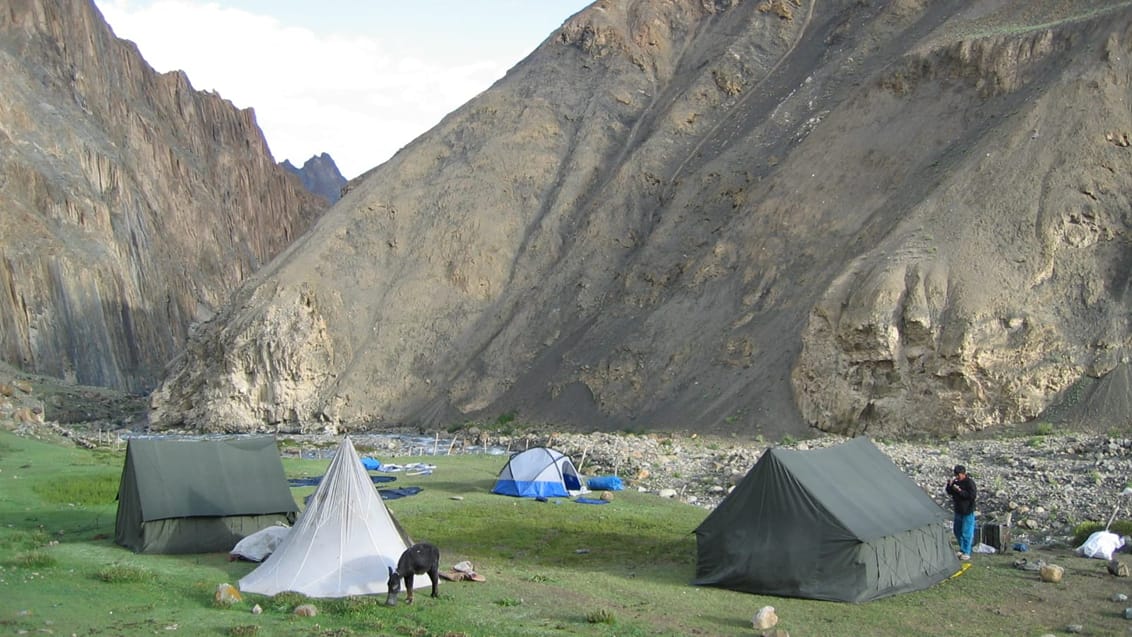 Telt camp, Markha Valley Trek, Indien