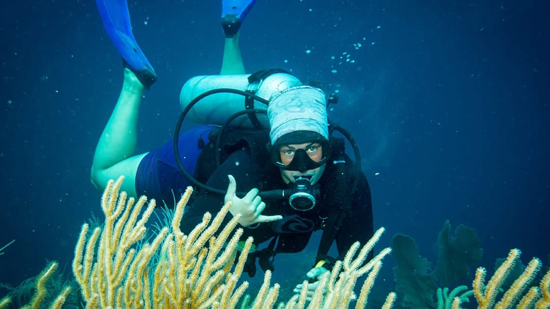 Det er en stor oplevelse at dykke i Belize
