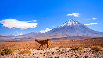 Licancabur vulkanen i Atacamaørkenen