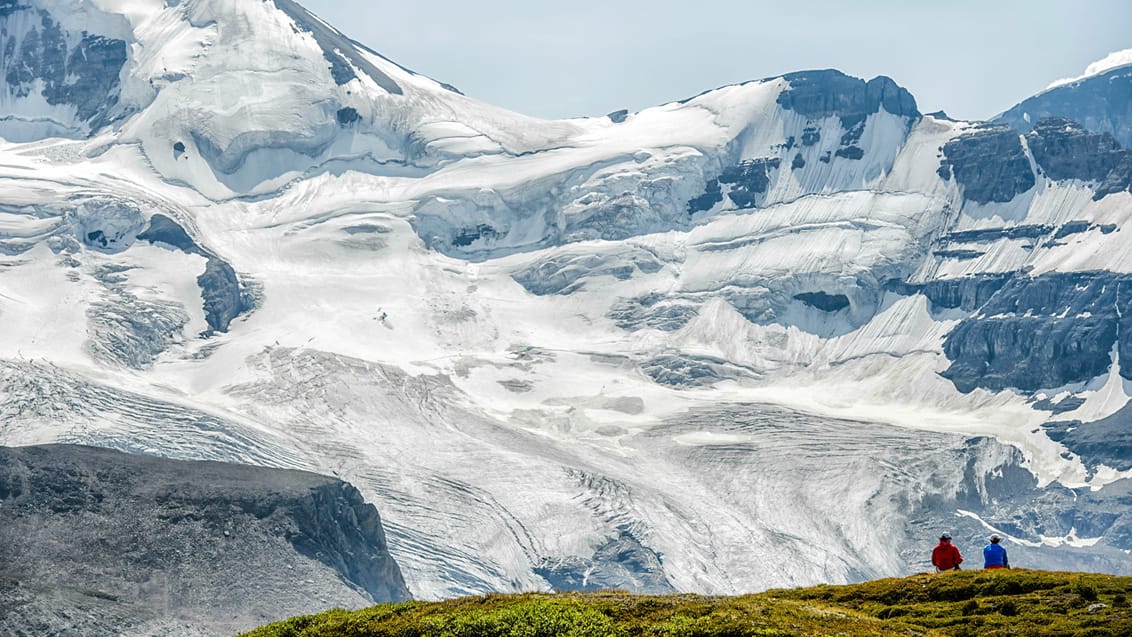Tag på en kort eller længere vandretur ud til en af de mange gletsjere i Jasper National Park