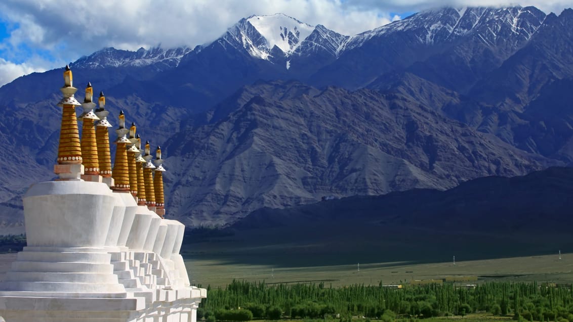 Besøg Indisk Himalaya og få en fantastisk natur- og kulturoplevelse