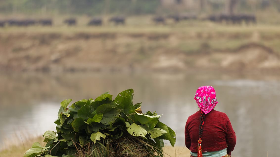 Ved Chitwan oplever du også det lokale liv i landsbyerne