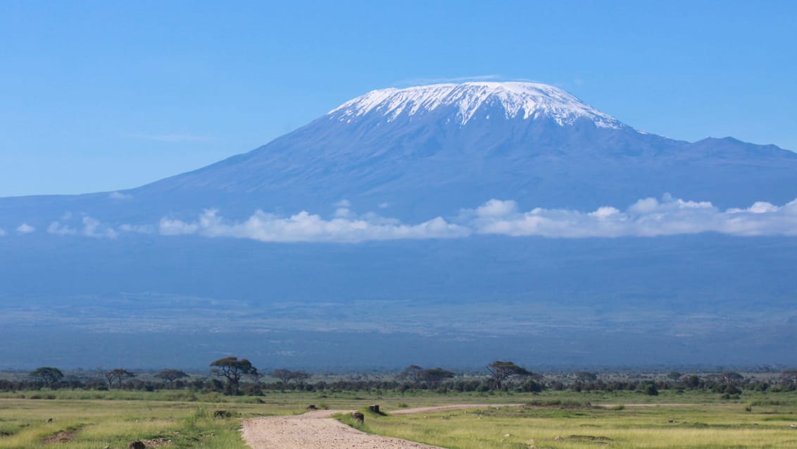 Kilimanjaro fra afstand