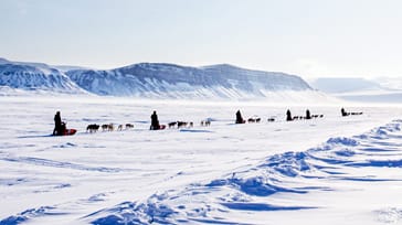Hundeslæde, snescooter og nordlys