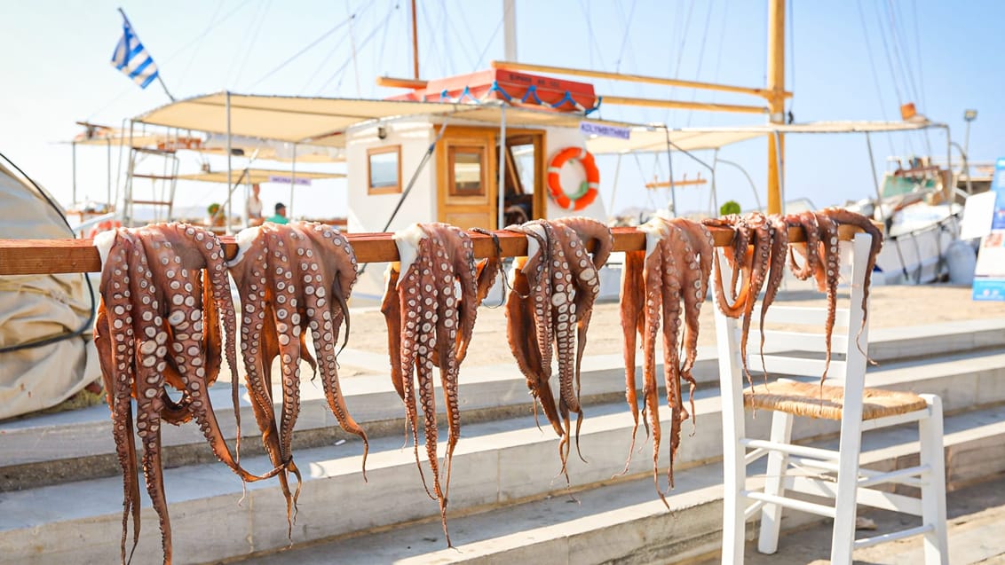 Blæksprutter ved havnen i Paros, Grækenland.