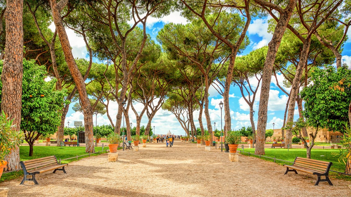 Parco Savello i det centrale Rom er også kendt som appelsintræshaven