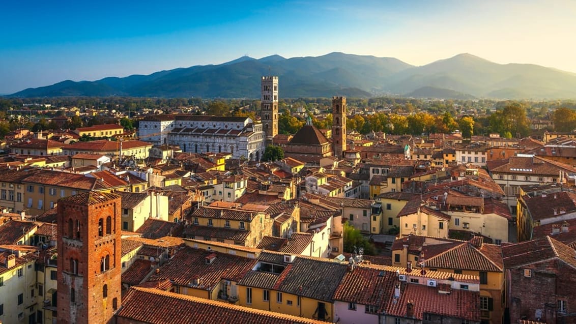 Panorama udsigt over Lucca og San Martino katedralen
