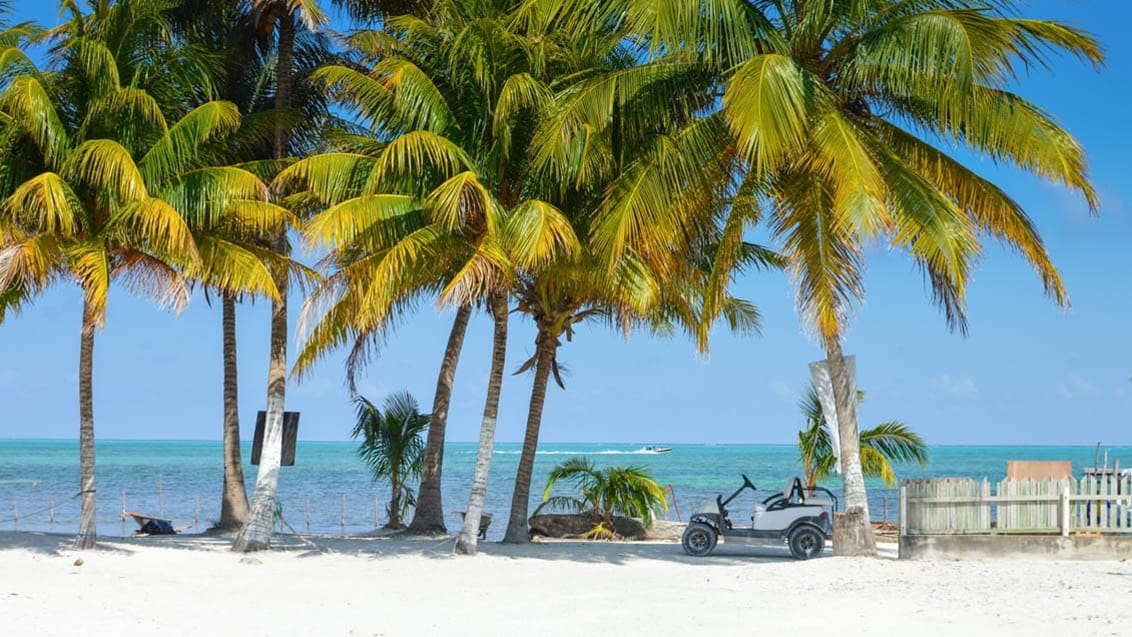 Strand på Caye Caulker, Belize