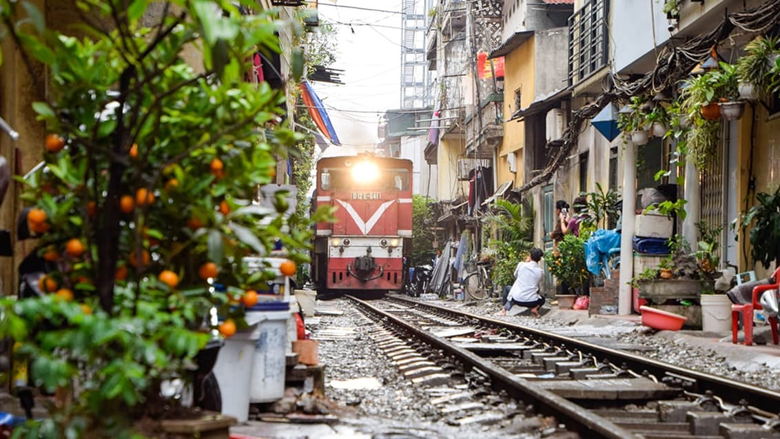 Vietnam, Hanoi, togbane