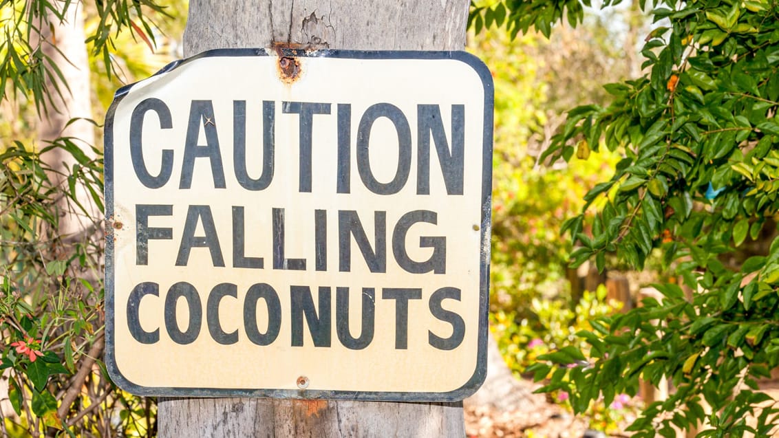 Der er få ting at være bange for på Fiji - men pas på faldende kokosnødder
