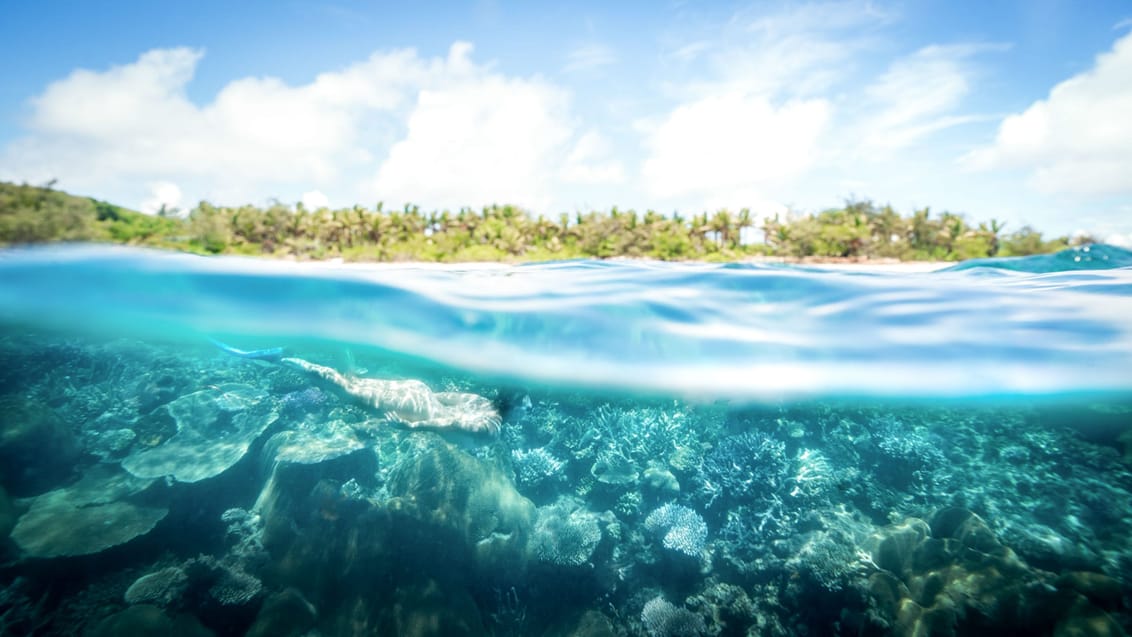 Kom med under havoverfladen i Fijis turkise vand