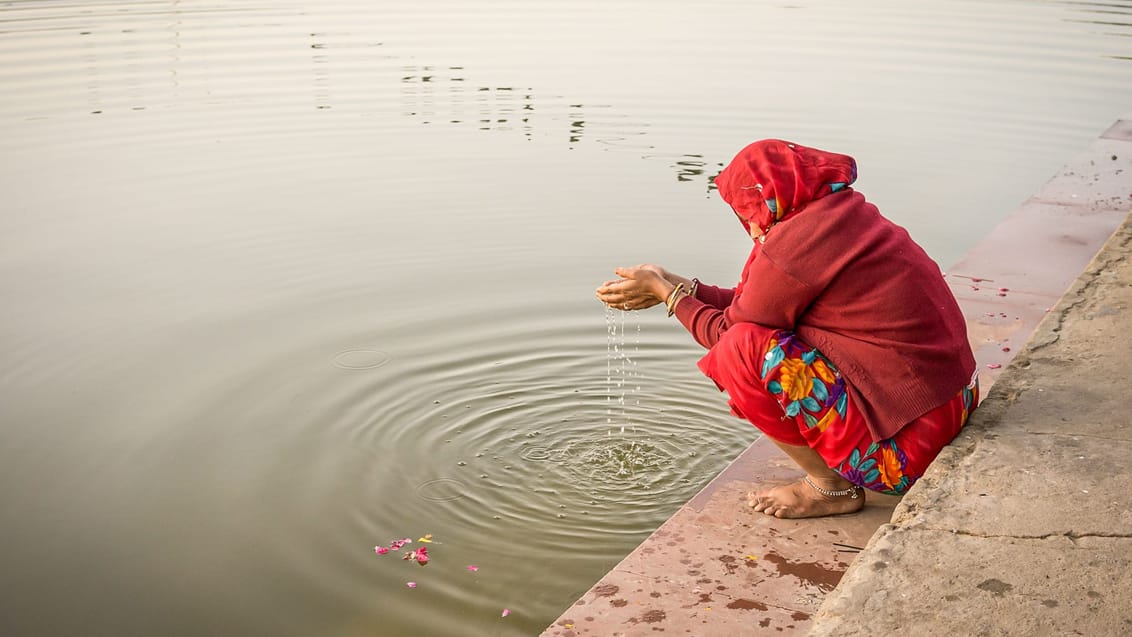 En kvinde beder ved Pushkar Lake i de tidlige morgentimer
