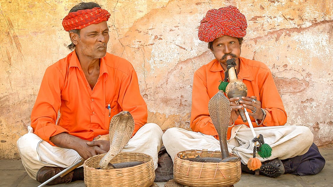 Slangetæmmere i Rajasthan