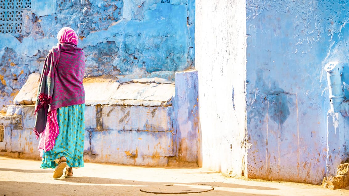 Lokal kvinde i den blå by, Jodhpur