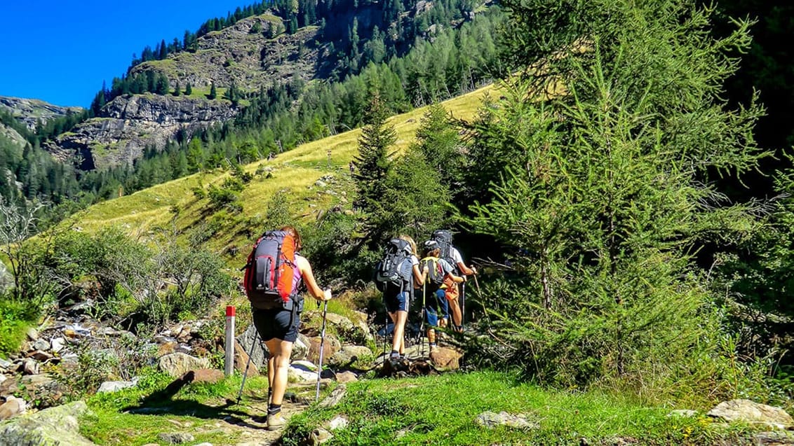 Tag med Jysk Rejsebureau på et trekkingeventyr i Dolomitterne