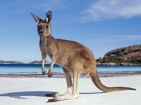 Australien Australien