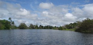 Jungletur i Amazonas