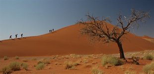 Den namibiske ørken