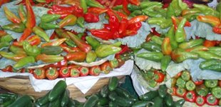 På rejse i Mexico, Latinamerika