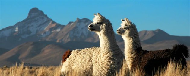 Peru