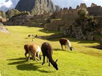 Trek i Inkariget, Peru, Sydamerika