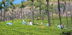 Gods own Country, Indien, Asien