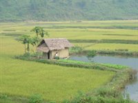 Jeep-tur i Vietnam