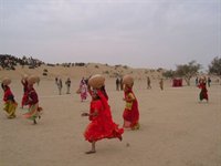 Kamelfest i Indien