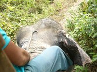På motorcykel i Nepal, Asien På motorcykel i Nepal, Asien