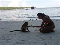 Phi Phi øerne, Thailand, Asien Phi Phi øerne, Thailand, Asien