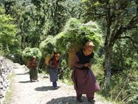 Trek i Indisk Himalaya, Indien, Asien