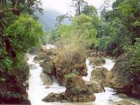 Vietnams natur, Asien Vietnams natur, Asien