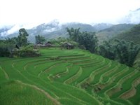Vietnams natur, Asien Vietnams natur, Asien