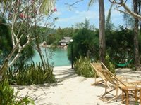 Vietnam, palmeø Vietnam, palmeø
