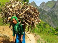 Det nordøstlige Vietnam Det nordøstlige Vietnam