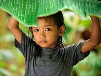 Bali & Java, Indonesien Bali & Java, Indonesien