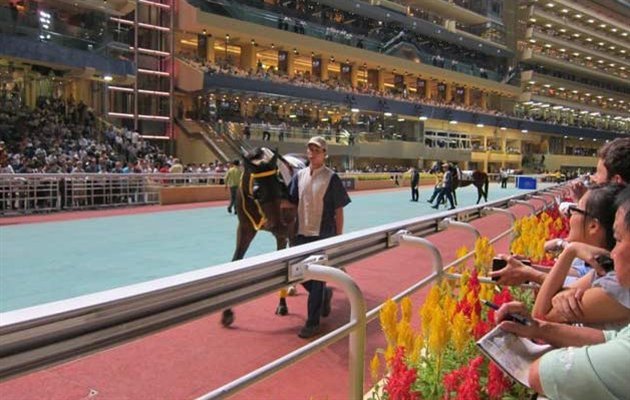 Happy Valley Racecourse, Hong Kong