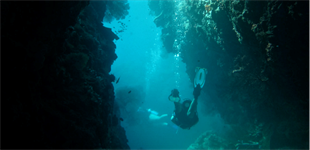 Fiji, Yasawas, Mantaray