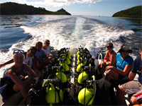 Fiji, Yasawas, Mantaray