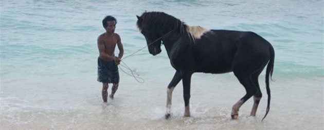 Gili Trawangan i Indonesien