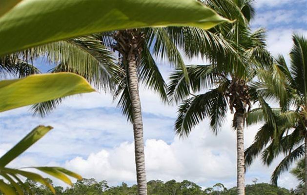 Pacific Harbour, Fiji