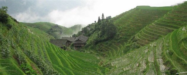 Risterrasser, Longsheng, Kina