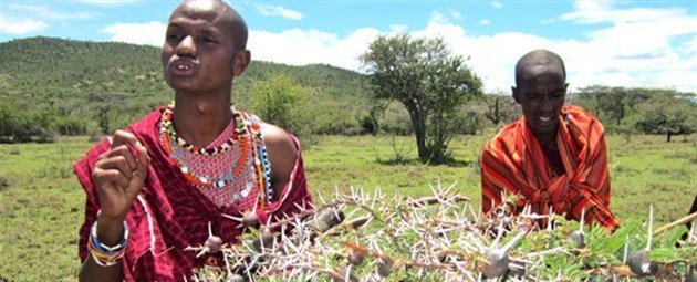 Besøg hos masaifolket i Kenya