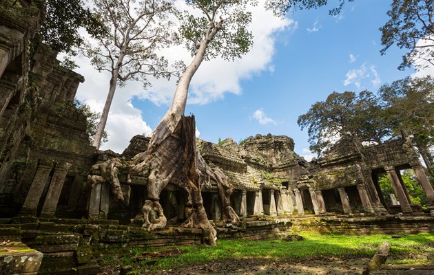 Ta Prohm templet, Angkor Wat, Siem Reap