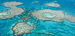 Great Barrier Reef, Australien