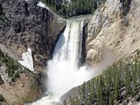 lower falls, Yellowstone, USA