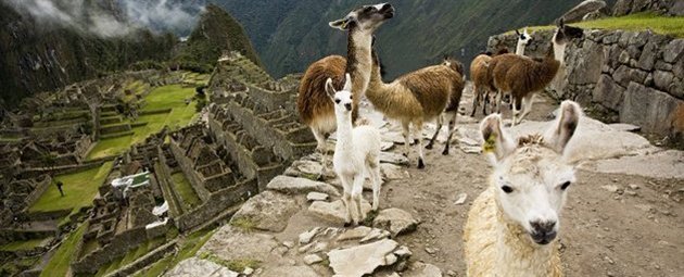 Machu Picchu, Peru