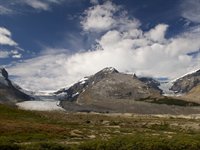 Jasper, Gletsjer, Canada Jasper, Gletsjer, Canada