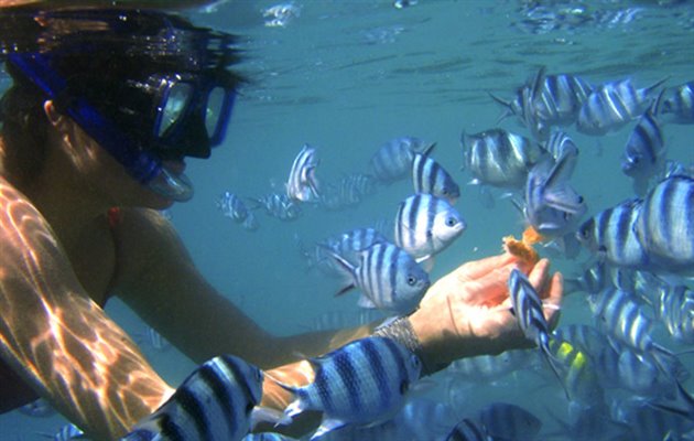 Blue Lagoon Cruises, Fiji